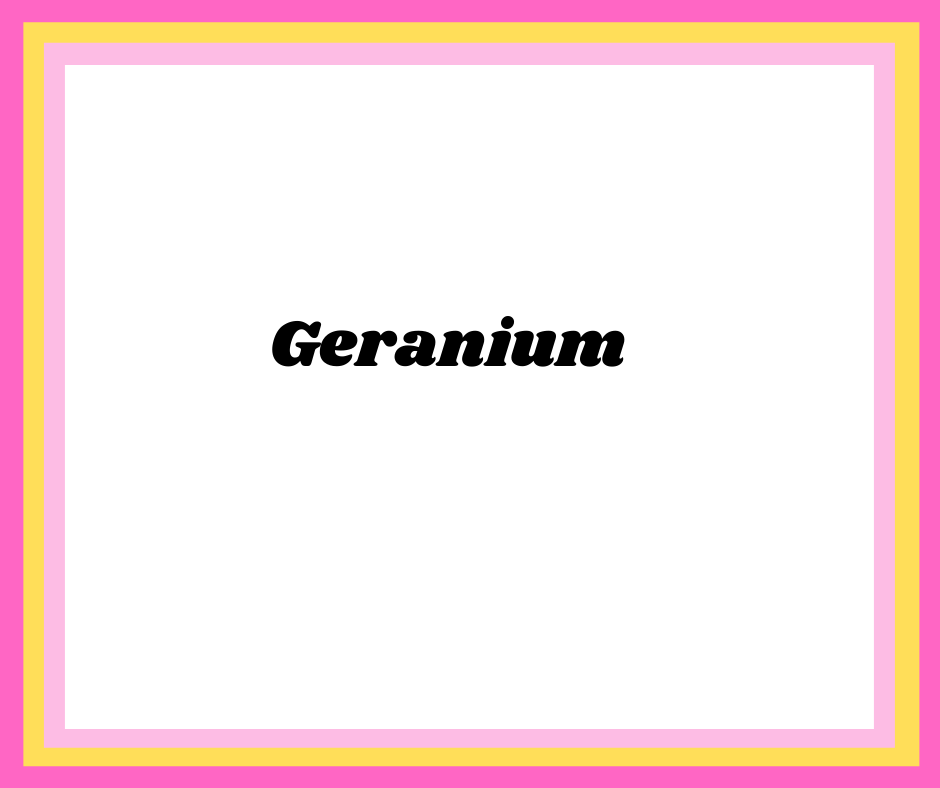 Geranium Body Oil